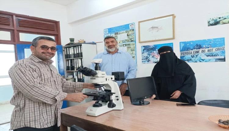 باحثون من جامعة عدن يرصدون نوعًا غازيًا جديدًا من الرخويات في أبين