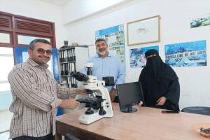 باحثون من جامعة عدن يرصدون نوعًا غازيًا جديدًا من الرخويات في أبين